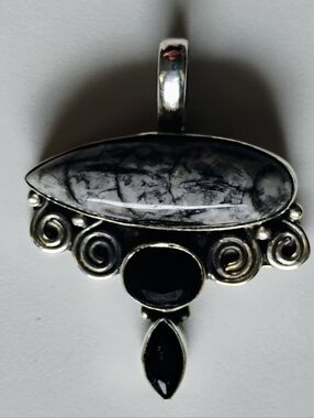 Orthoceras Fossil Pendant 925 Sterling Silver